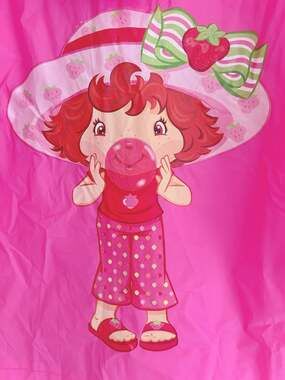 Vintage Y2K Deadstock Strawberry Shortcake Berry Bubbly  Raincoat